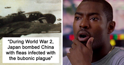 11 Facts That People Had A Hard Time Accepting, As Shared In This Online Thread