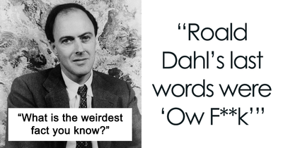 26 Of The Weirdest, Maybe Useless, But Interesting Facts To Know, Shared In This Online Thread