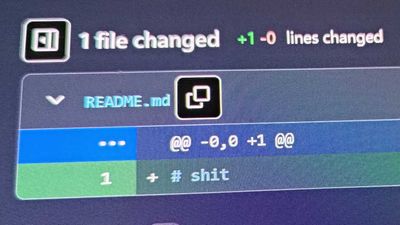 Milestone one billionth Github Repo is just the word 'sh*t'