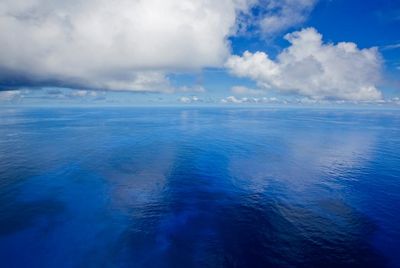 Is the ocean ‘having a moment’? This was the UN summit where the world woke up to the decline of the seas