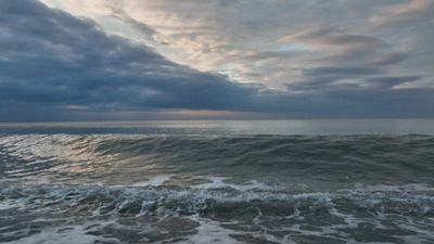 UN Summit advances ocean protection, vows to defend seabed