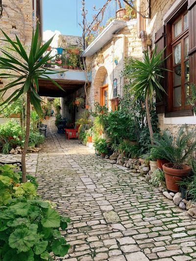From abandoned beaches to Michelin-starred seafood: the hidden side of Cyprus