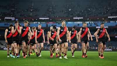 Bombers to take lessons from brutal thumping by Cats