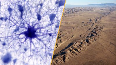 Science news this week: Overdue earthquakes and star-shaped brain cells