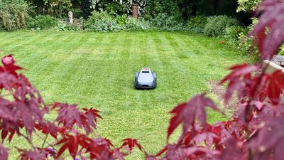 I tested the Eufy E15 robot lawn mower, and it's so easy to use even technophobes will love it