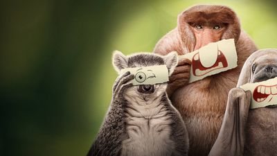 How to watch Underdogs: stream the Ryan Reynolds-narrated animal doc online or on TV from around the world