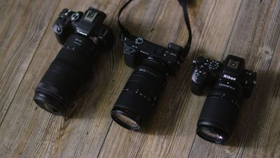 I tried cheap cameras from Canon, Sony and Nikon on one of the most difficult subjects – this is the camera that stood out