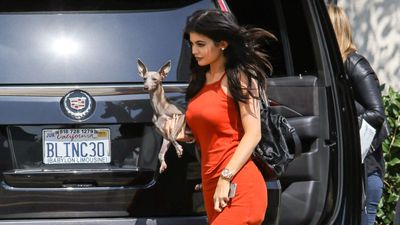 Kylie Jenner’s dogs: What we know about her growing pack