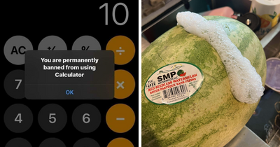 55 Funny Pics That People Just Had To Take As They Were Utterly Confused