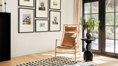 Air purifiers vs. plants – which is better for a healthy indoor space?