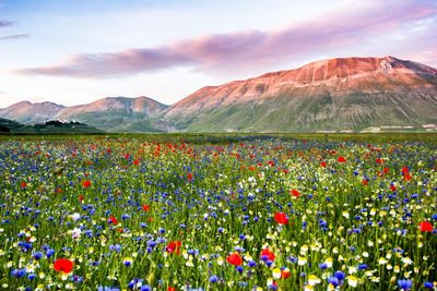 Summer in Europe’s lakes and mountains: 15 of the best holidays