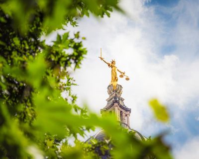 Politicians, lawyers and doctors express concern over use of expert witnesses in English courts
