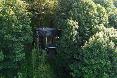 The Woodland Suites at The Montenotte: luxury treehouse living with Cork on your doorstep