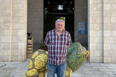 British man weighs 'risky' desert escape from Israel amid Iranian missile strikes