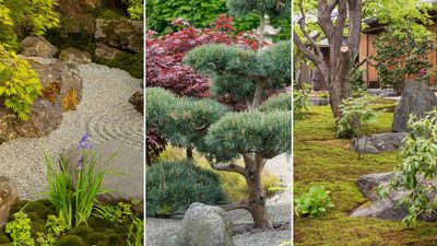 Japanese garden ideas – 10 ways to create a soothing space, with advice from the experts