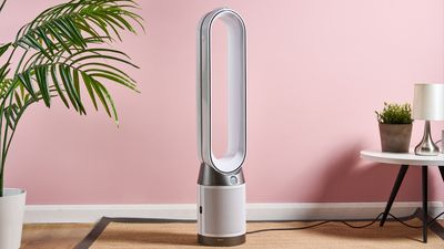 The lack of smart features made me quick to judge this Dyson purifying fan, but its impressive performance quickly turned things around