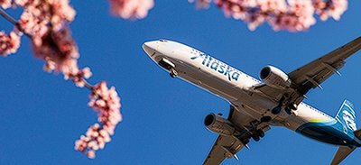 Passenger Removed From Plane Moments Before Takeoff After Making 'Flippant Remark Regarding a Bomb' to Flight Attendant