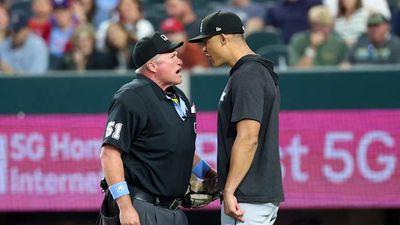 White Sox Announcer Had Funny Line About What Manager Might Have Said During Ejection
