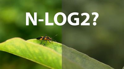 Camera rumors suggest that Nikon is working on N-Log2