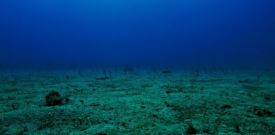Seabed mining is becoming an environmental flashpoint – NZ will have to pick a side soon