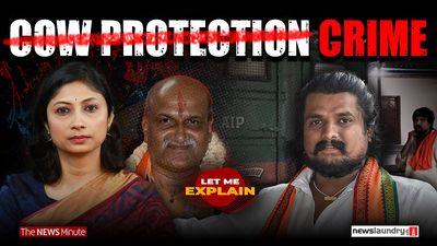 Let Me Explain: Rise of cow vigilantes in Karnataka