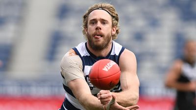 Cats defender cut down with shoulder injury