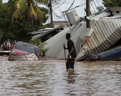 Bank unveils green loans plan to unlock trillions for climate finance
