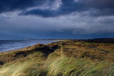 Human leg discovered on beach in Scotland