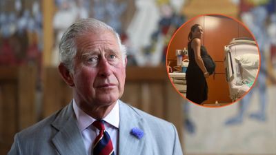 ‘They have lost it’: King Charles and Queen Camilla aghast at Meghan Markle’s ‘tragic’ attention-grabbing antics