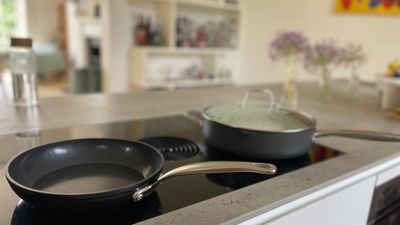 Looking for non-toxic pans on a budget? Zyliss' Ultimate Pro collection has our approval