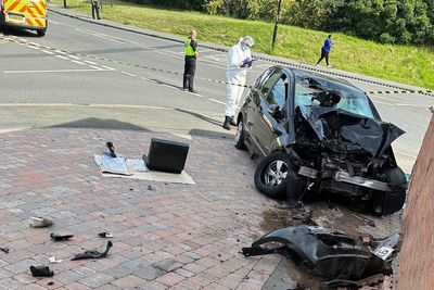 Car rampage killer was on bail from immigration detention centre, court told