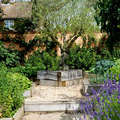 This is what every type of garden shade means, from full sun to deep shade, to help you work out what will grow best in your garden