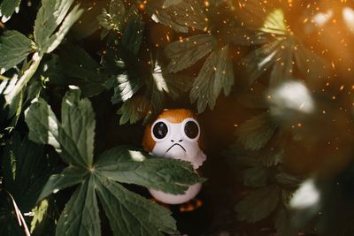 8 Reasons You Should Be Collecting Funko Pop Characters