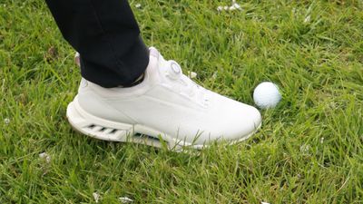 What Happens If You Accidentally Stand On A Golf Ball?