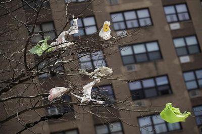 Lobbyist claims that New York anti-plastic bill would harm people of color called ‘misleading’