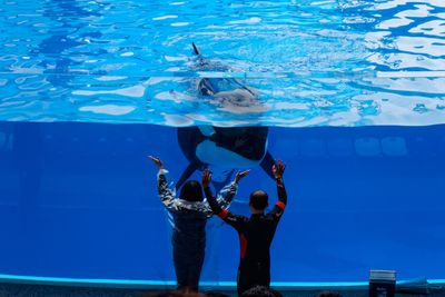 5 Tourist Attractions That Were Shut Down for Ethical Reasons