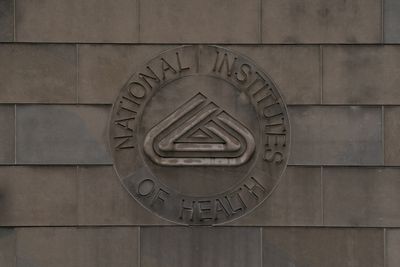 US judge declares Trump’s cuts to NIH grants ‘illegal’