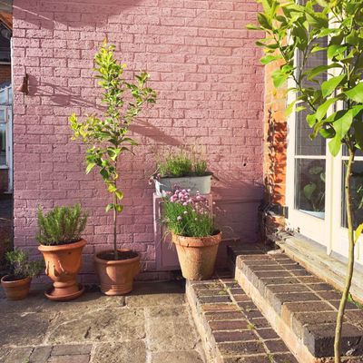 7 best paint colours to brighten up a gloomy north-facing garden, according to experts