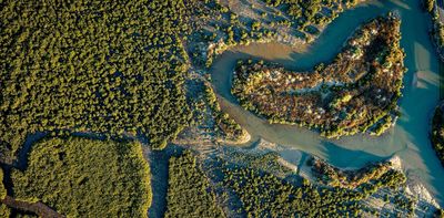 Wetland restoration is seen as sunk cost – but new research shows why it should be considered an investment