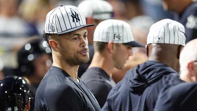 Yankees Fans Give Giancarlo Stanton Huge Ovation in Return From Injury