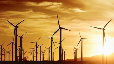 Solar Stocks Dive As Senate Bill Keeps Cuts To Solar, Wind Energy Incentives