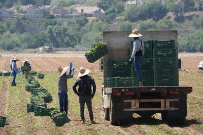 Trump officials reverse pause on immigration raids targeting farms and hotels