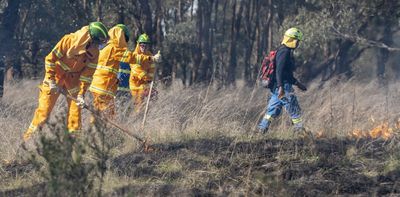 Colonisation cleared 95% of these woodlands – Indigenous cultural burning is bringing it back