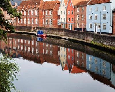 Dangerous pesticides and pet flea treatment detected in English rivers for first time