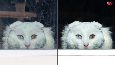 I just discovered Photoshop's hidden new tool that removes distractions in seconds — It saves me sooo much editing time