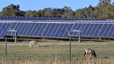 Sunny outlook: big solar farms given tick by neighbours