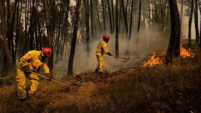 Portugese landowners face fines as wildfire inspections begin