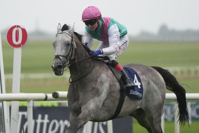 Royal Ascot betting offer: 40/1 on Field Of Gold to win St James’s Palace Stakes