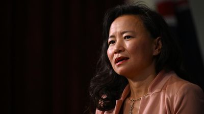 Reporter's prison torture cost of political posturing