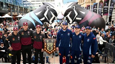 Cockroaches beat out Bears in Perth Origin lead-up